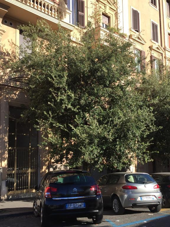 Vatican Accommodations Roma Exterior foto